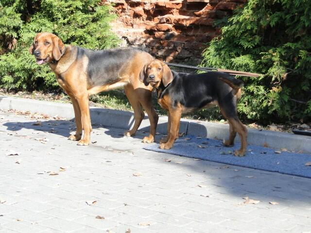 Inna Ostoja i Ikra Brodnica 2011.jpg