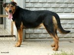 phoca_thumb_m_DSC06740.JPG