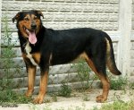 phoca_thumb_m_DSC06744.JPG