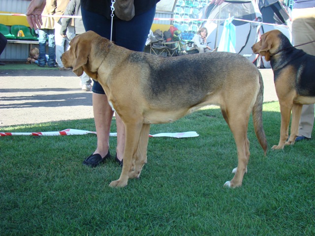 DSC04981.JPG