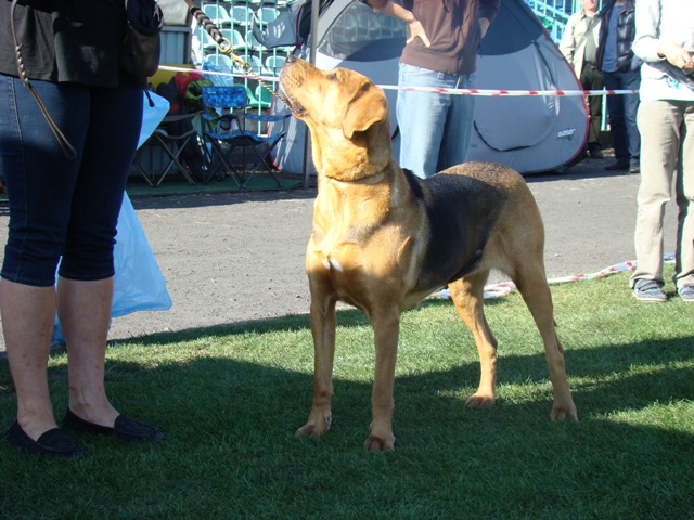 Acanka