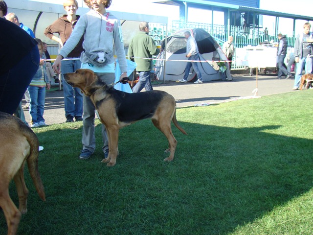 Mrówa