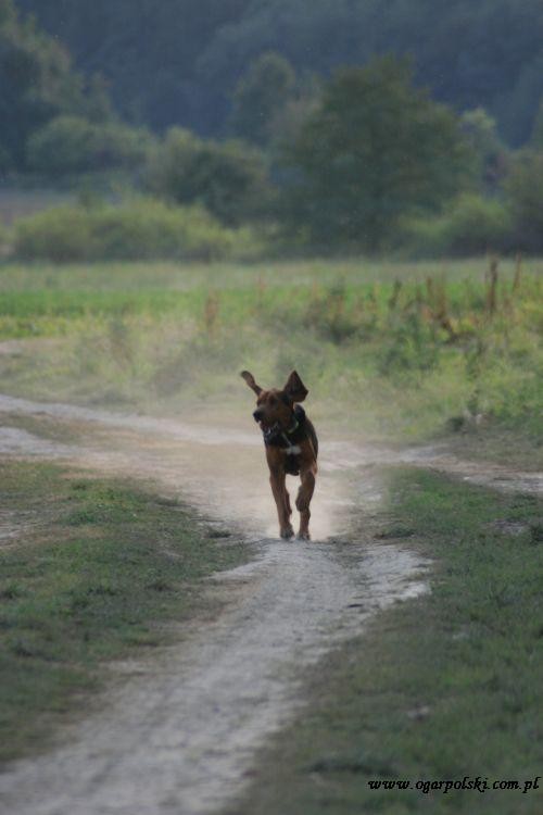 Żołnierz wraca z Kambodży.