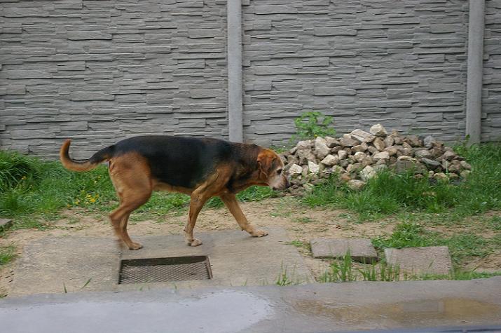 IMGP9777.JPG