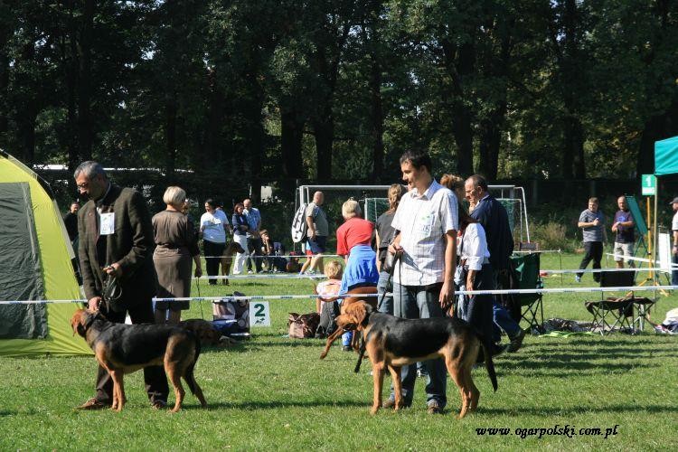 Rzędzian, Wicher.