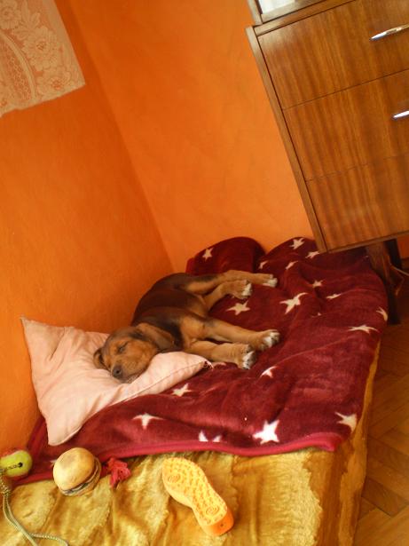 P3280050.jpg