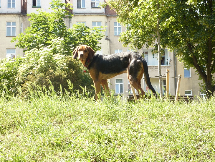 P1030194.jpg