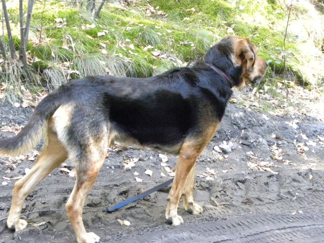 Trzeba sprawdzić.