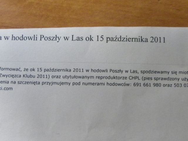 Obraz 2 347.jpg
