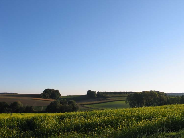 238_3879.jpg