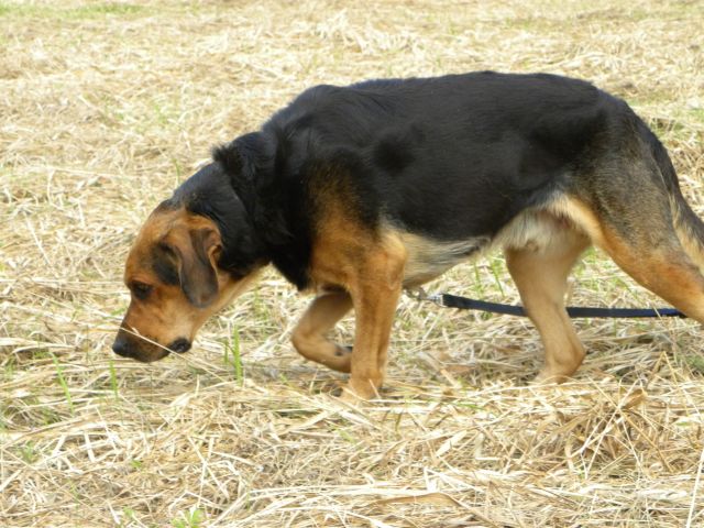 Obraz 2 102.jpg