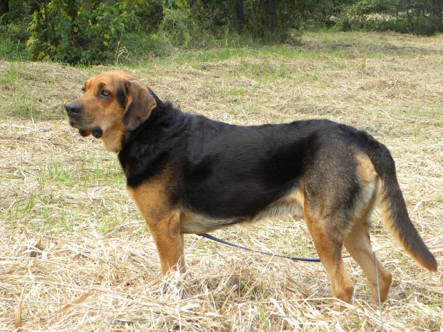 Obraz 2 104.jpg