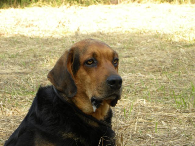 Obraz 2 118.jpg