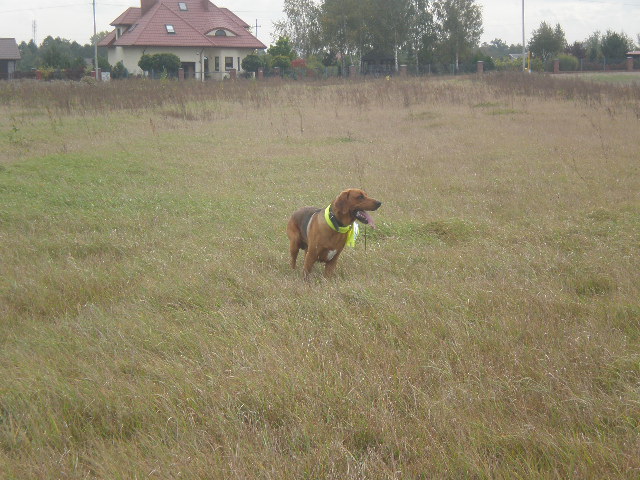 PA066157.JPG