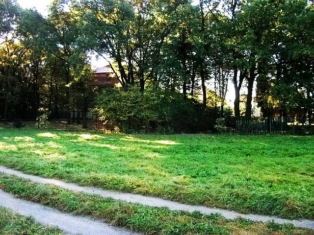 Wybrałyśmy polanę, a konkretnie to miejsce