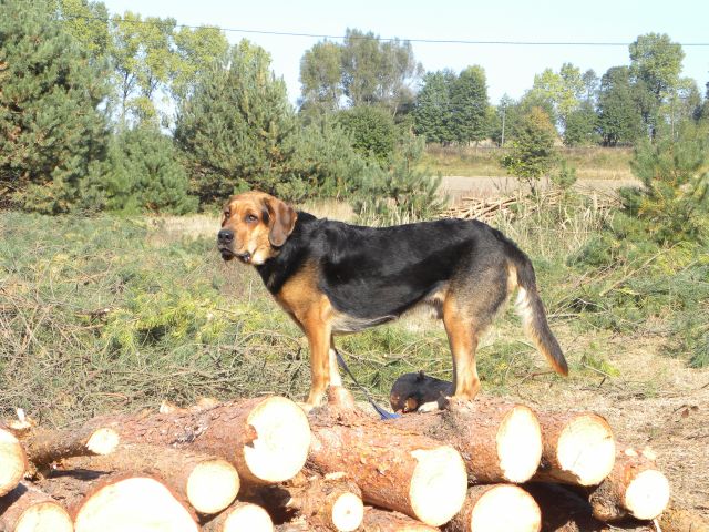Obraz 2 327.jpg