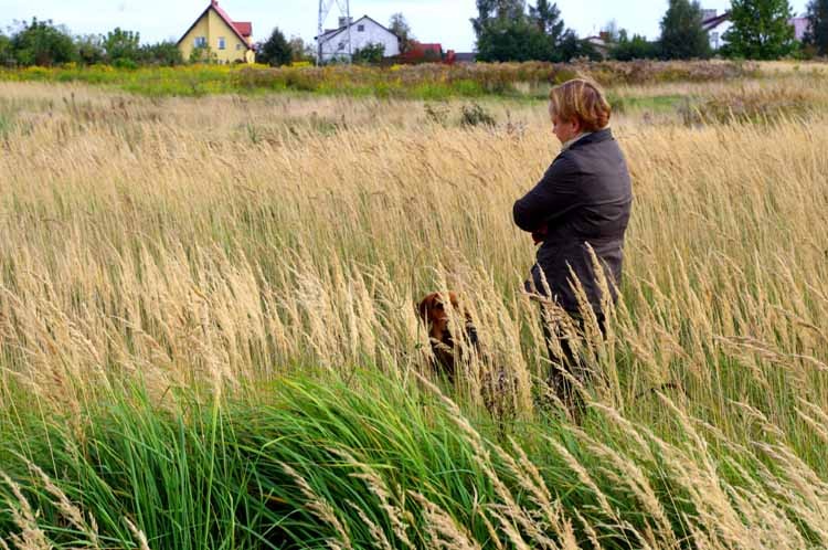 Pierwsze odłożenie, zero reakcji na petardy