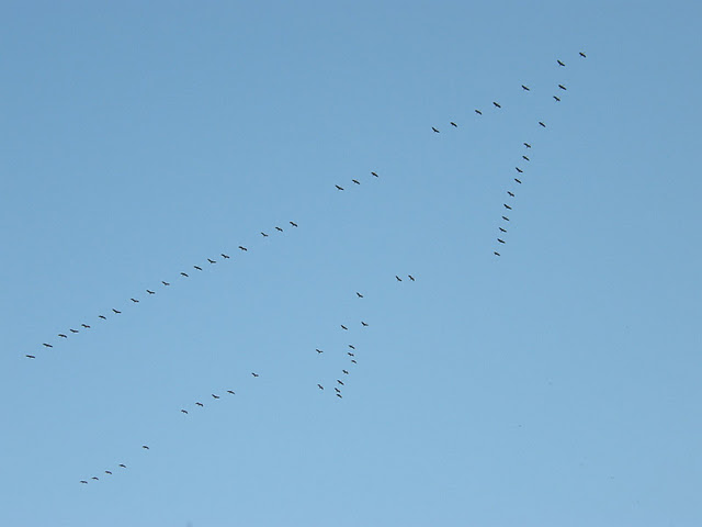 PA010023.JPG