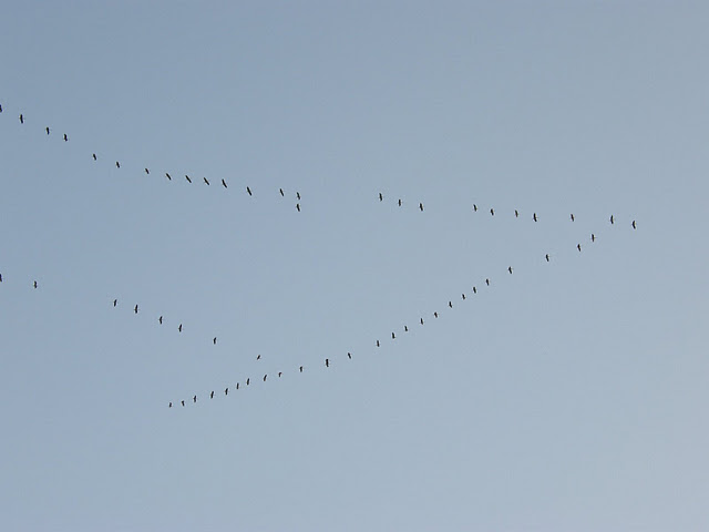 PA010024.JPG