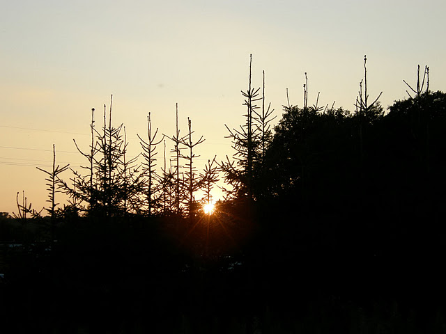 PA010020.JPG