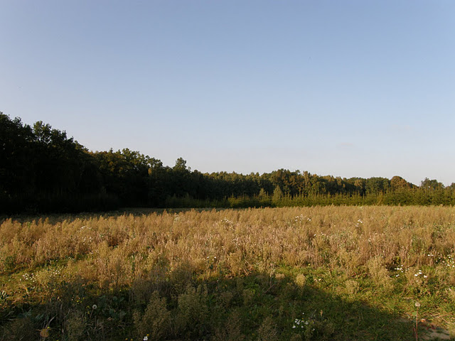 P1010011.JPG
