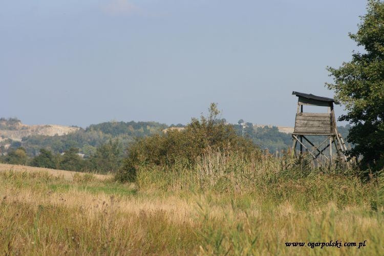 Pustki, można szaleć.