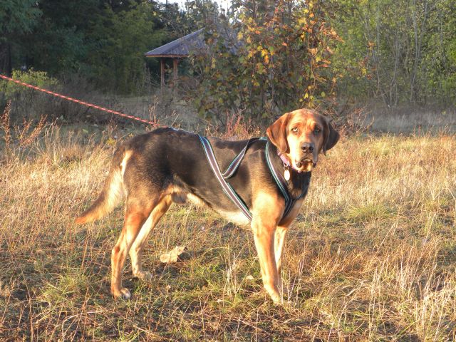 Obraz 2 353.jpg