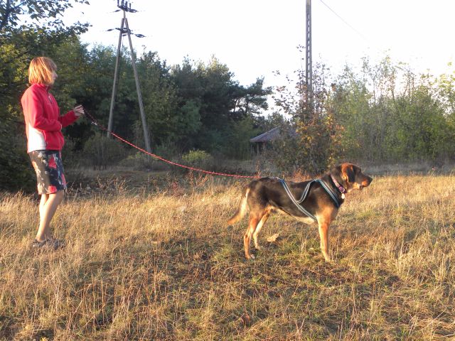 Obraz 2 355.jpg