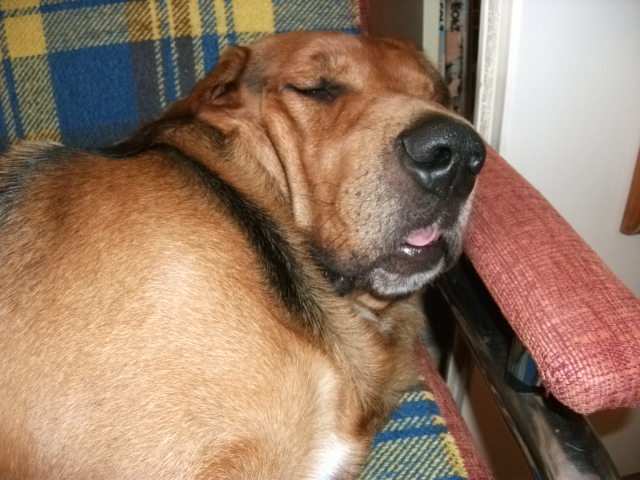 DSCF1206.JPG