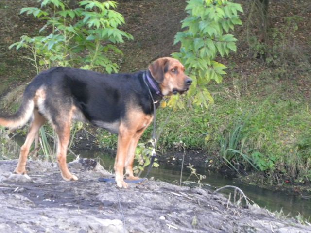 Obraz 2 361.jpg