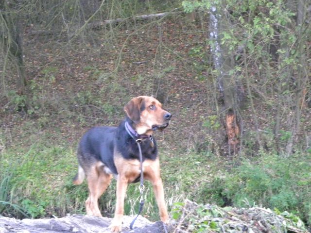 Obraz 2 362.jpg