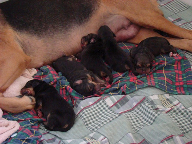 DSC05054.JPG