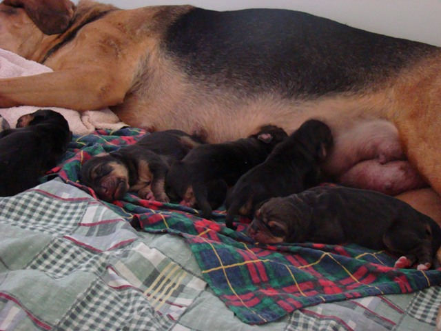 DSC05055.JPG