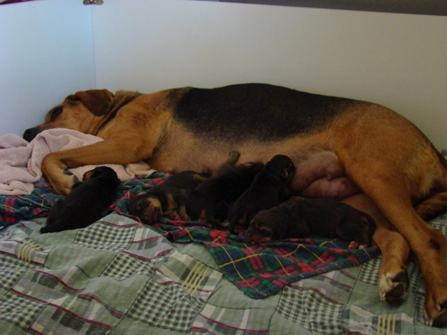 DSC05056.JPG