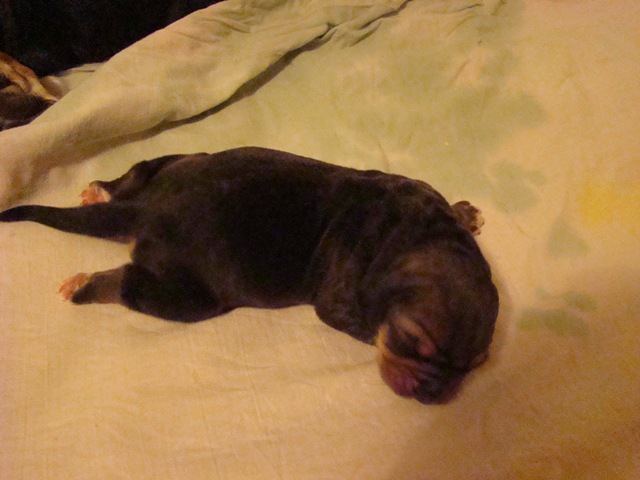 DSC05144.JPG