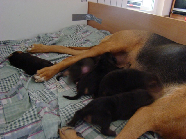 DSC05153.JPG