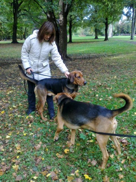 Ares z początku był zainteresowany, ale później zaczął się stroszyć, bo był niezadowolony, że Portos bawi się z Gabi