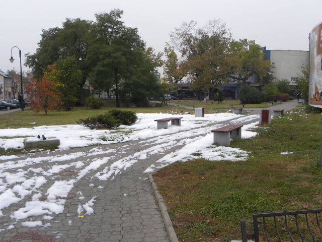 Obraz 2 455.jpg