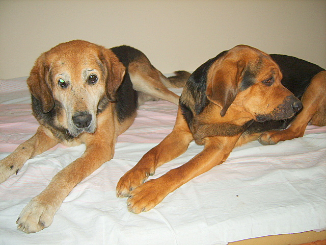 NASZA CHATYNKA 9 KWIECIEN 2009 003.jpg