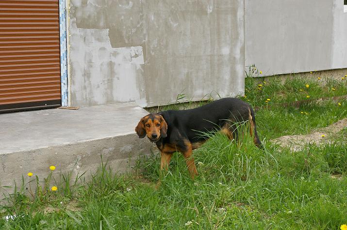 IMGP9725.JPG