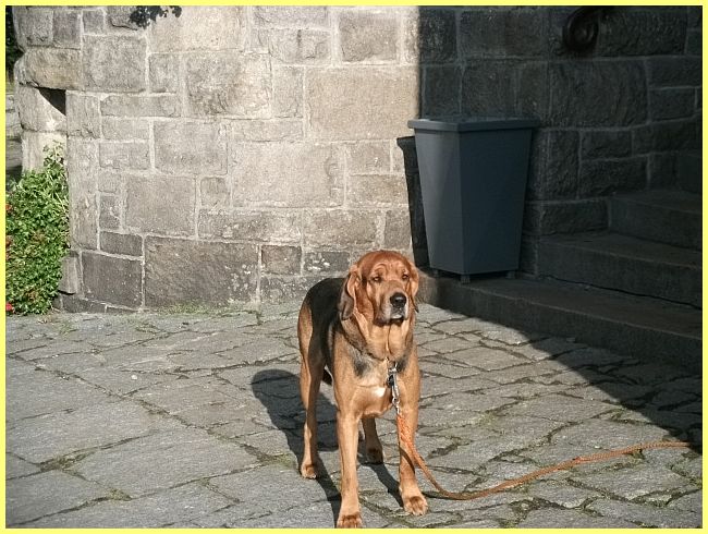 DSCF2103.JPG