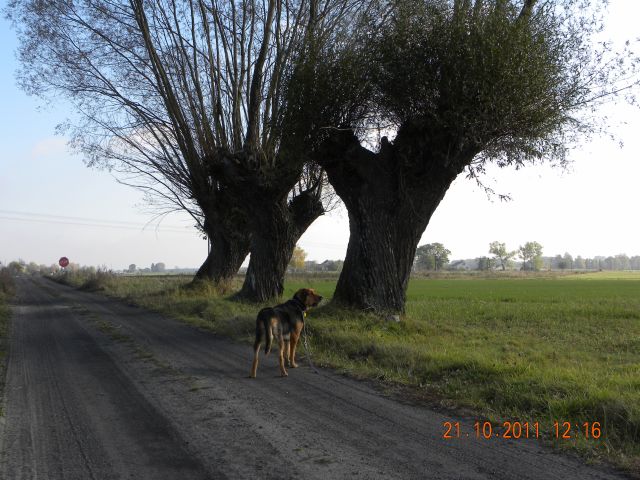 Obraz 2 401.jpg