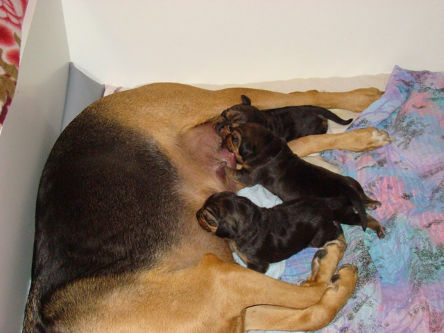 DSC05360.JPG