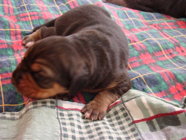 DSC05368.JPG