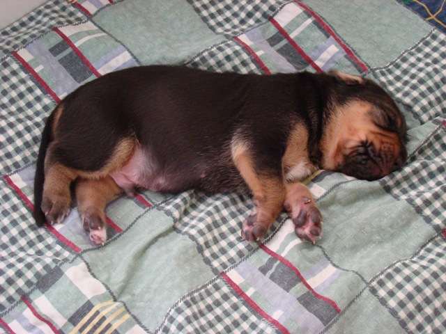 DSC05370.JPG
