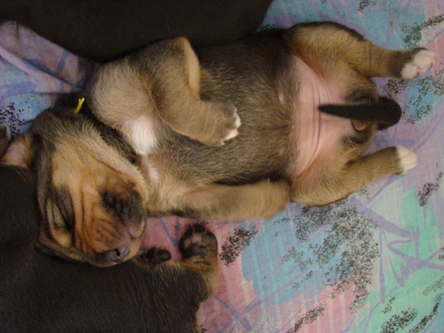 DSC05507.JPG