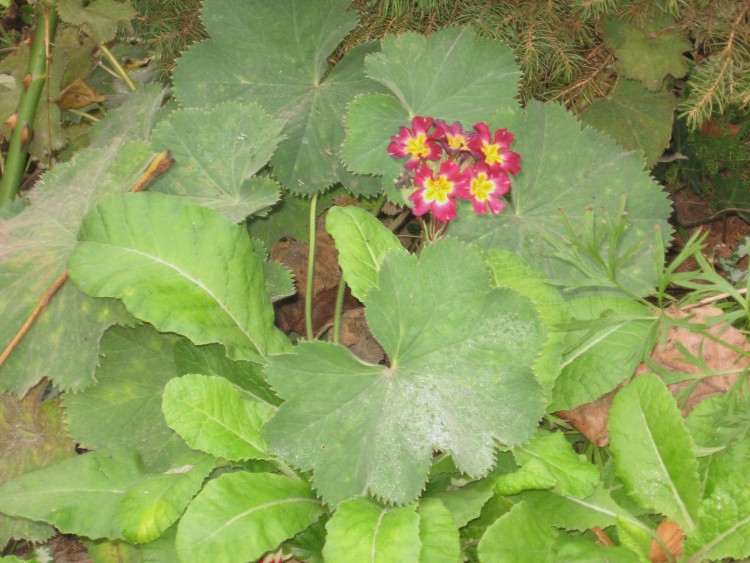 29X2011 008.jpg