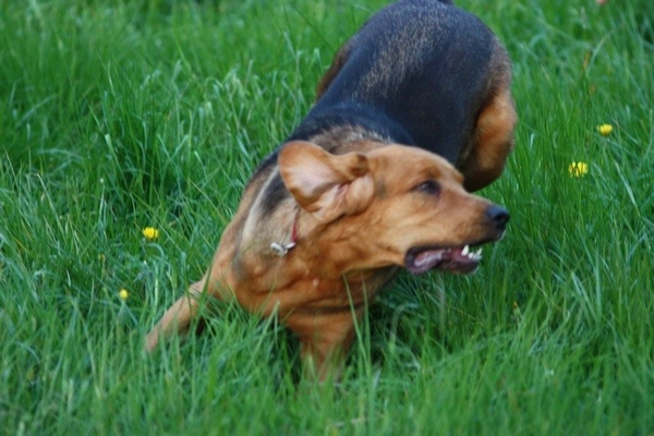 6a.JPG