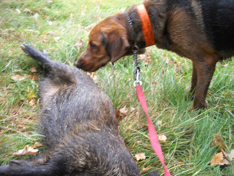 DSCN7154.jpg