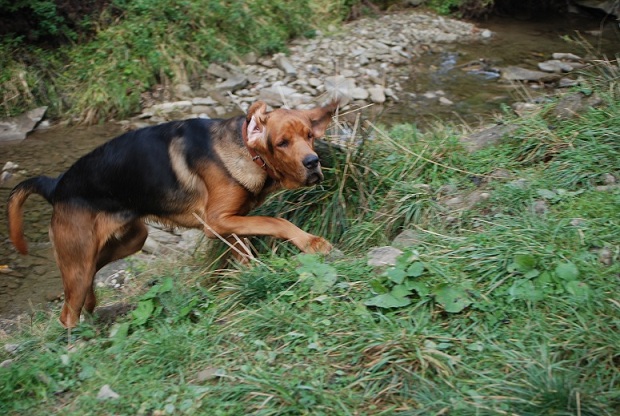DSC_0542.JPG